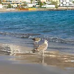 Alojamiento Alby: Oceano