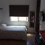 Cuestador