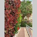 Jardines del Sur, Ocean View (Los Cristianos)