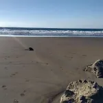 Wind, Sun & Sea