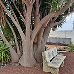 Tenerife Apartment Dulcynea With Terrace And Garden 600M2 With Ocean And Teide View