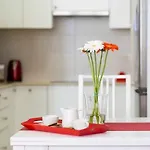 Centrica Vivienda Vacacional En Santa Cruz