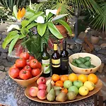 Cabana Ecologica