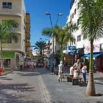 Canarian Garden Building Jardines Canarios