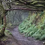 Casa Rural En El Parque Nacional De Garajonay En La Isla De La Gomera, Alonso Y Carmen