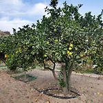 Finca Imoses Bailon