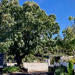 Finca De La Msica - Classic