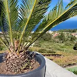 Finca De La Msica - Jazz