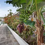 Paradise Studio Bel Air