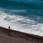 Radazul Seafront 33
