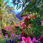 Ocean View Tenerife