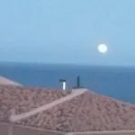 Casa Nea