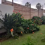 Moon In The Garden