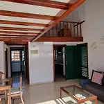 Flor De Tajinaste 2