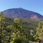 La Casita De La Pared