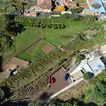 Ek Drago Finca El Milagro