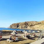 Tenerife Flamingo