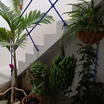 La Haciendita De La Casita Azul