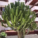 Apartamento Con Piscina Cerca De Puerto Colon