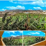 Sunflower Sea And Teide View