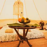 Yurt In Avocado Garden