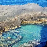 Finca Los Loros Icod De Los Vinos By Hrtenerife Net