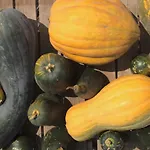 Finca La Plantacion _Agroturismo