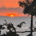 Ocean Deluxe Palm-Mar