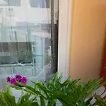 Apartment Holiday