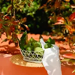 Homeforguest Rural House With Garden El Laurel