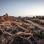 Casa Mo Tenerife