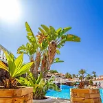 Apartment Paraiso Royal