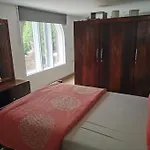 Los Cactus
