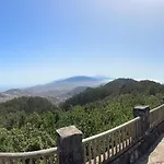 Los Cactus