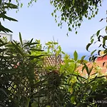 Casa Flora Garden Studio