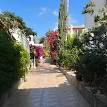 Las Americas Paraiso Del Sol