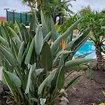 Oasis Hill Botanical Garden