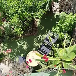 Casita Con Jardin