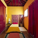 Live Orotava Casa Antigua Patrimonio Nacional