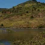 Nature Life