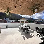 Euphorbia Suites