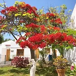 Bonito Apartmento En Garden City Con Piscina Climatizada