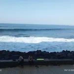 Surf N Swim Vv