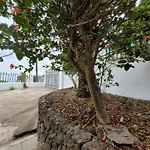 Casa Mariposa Monarca 2