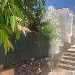 Happy Place, Chayofa