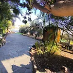 Finca Veronica