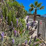 Paz Ocean View Luxury, Air Condition, Wifi, Heated Pool