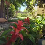 Charming House In San Cristobal De La Laguna With Shared Pool