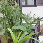 Ferienwohnung Mit Kleiner Innenhof-Terrasse Im Mediterranen Stil