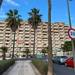 Flamingo Palm-Mar